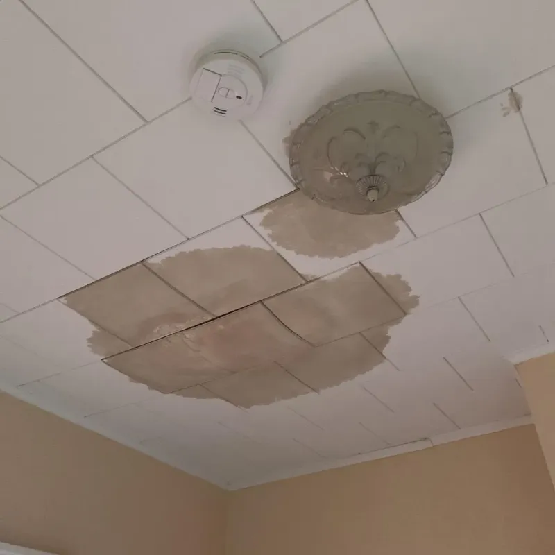Ceiling Water Damage Repair in Watertown, NY